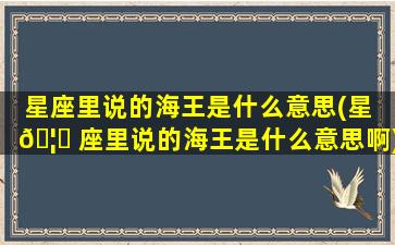 星座里说的海王是什么意思(星 🦈 座里说的海王是什么意思啊)